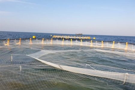 شیلات اقتصادیترین فعالیت در سواحل مَکُران