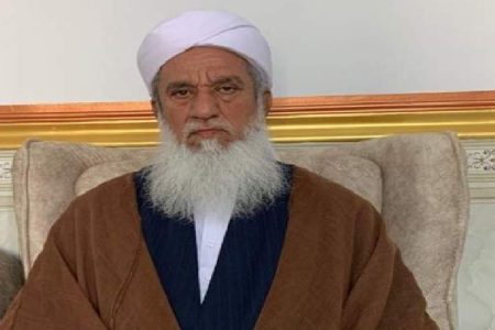 شیعه و سنی پیوسته‌اند، امت بیدار است