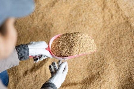 سنگ بنای تولید پایدار محصولات پروتئینی