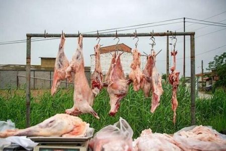 سلامت مردم مهرستان در گرو احداث کشتارگاههای مجاز