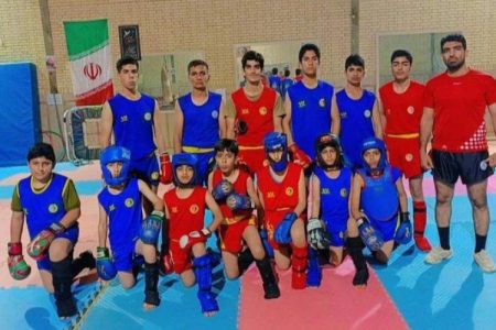 ووشو هامون افتخارات ملی و بین‌المللی