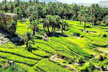 روستای کارواندر نگینی پنهان در دل بلوچستان