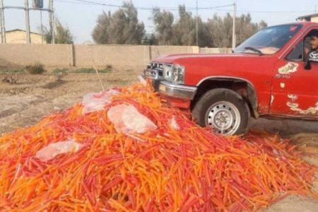 معدوم‌سازی بیش از ۶ تن فرآورده‌های یخی زهک