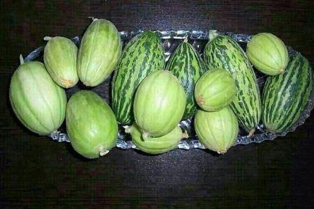 شکوفایی دوباره جالیز در دل سیستان