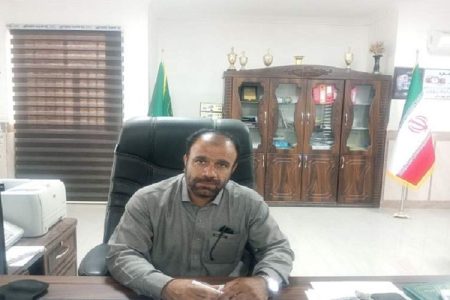 مبارزه با سوسک سرخرطومی نیازمند نگاه ملی
