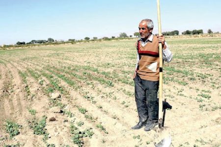 کمبود آب به معنای توقف کشاورزی نیست