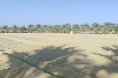 «حشر و مدد» میراثی از تعاون در دشت‌های جنوب شرق