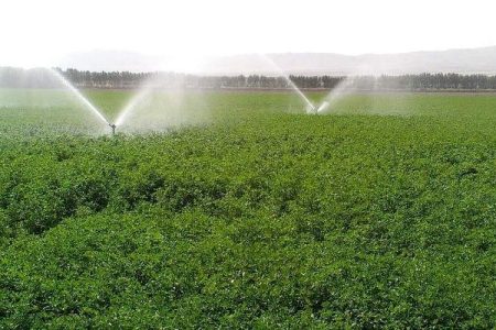 تحول کشاورزی مهرستان با الگوی نوین پایدار