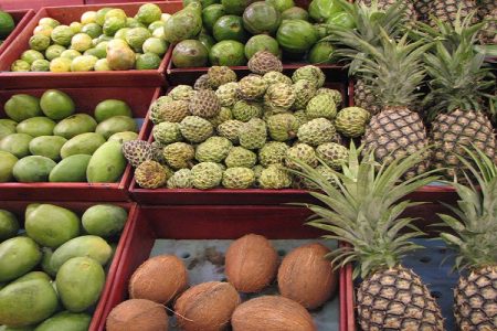 سیستانوبلوچستان در مسیر تبدیل به قطب باغداری گرمسیری