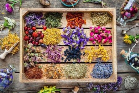 محصولات دارویی بومی پیشران توسعه صادرات سیستانوبلوچستان