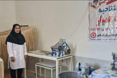 تولیدات بومی فرصتی برای اشتغال آفرینی