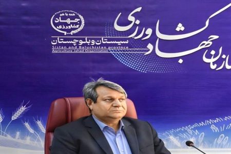 ورود نخستین محموله گوشت و برنج وارداتی