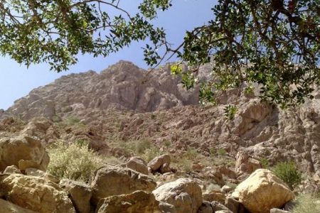 بیرک در محاصره ماشکید