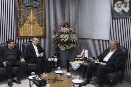 آغاز اجرای بزرگ‌ترین نیروگاه‌های بادی در میل نادر