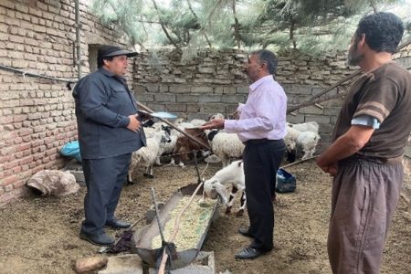 پایش مستمر دام‌ها، سپر سلامت و امنیت غذایی