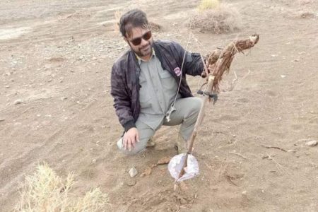 عملیات ویژه محیط زیست برای صیانت از پرندگان