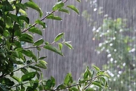 اولین بارش زمستانه سیستان‌وبلوچستان رقم خورد