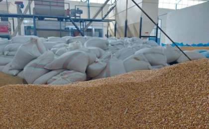 رویش امید با احیای کارخانه خوراک دام سیستان‌وبلوچستان