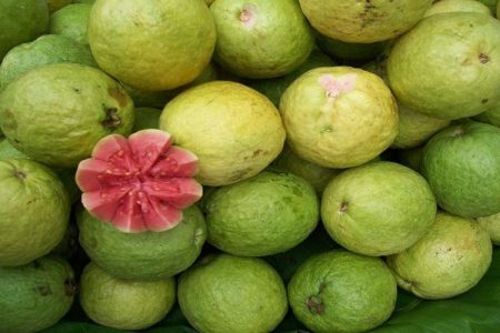 راسک، پایتخت گواوای زمستانه ایران