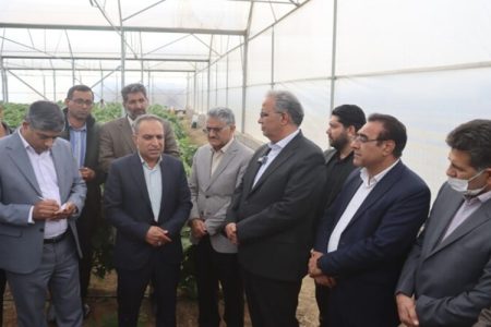 زَهَک، شهرستان پیشرو در توسعه گلخانه‌ها