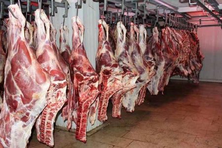 ظرفیت‌ ممتاز تأمین گوشت کشور در سیستان‌وبلوچستان