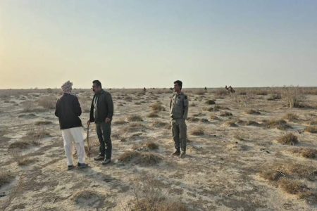 خروج گله ۷۰ نفری شتر از تالاب هامون