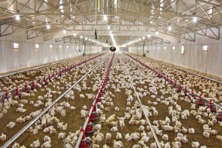 احیای ظرفیت‌های مغفول‌مانده، نسخه‌ای برای تقویت اقتصاد محلی