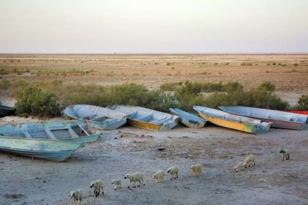 ارزیابی فرهنگی بر اساس خروجی و اثرگذاری واقعی