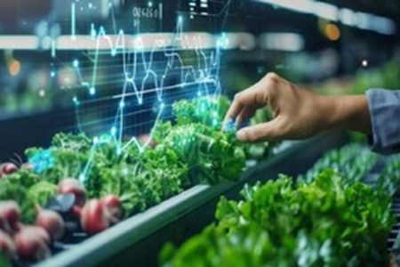 برگزاری رزمایش حفظ نباتات برای ارتقای امنیت غذایی