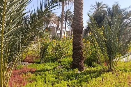 باغ خانواده زابل؛ گامی نو در توسعه اجتماعی