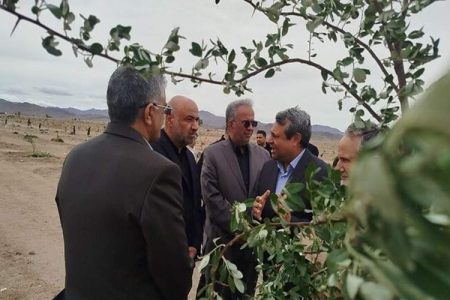 ایجاد پارک جنگلی زاهدان، الگویی برای سایر شهرها