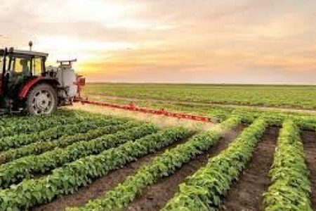 بررسی غیرحضوری طرح‌های در سامانه صبا