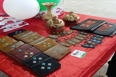 سوزن‌دوزی بلوچی، روایتگر فرهنگ و هنر بومی