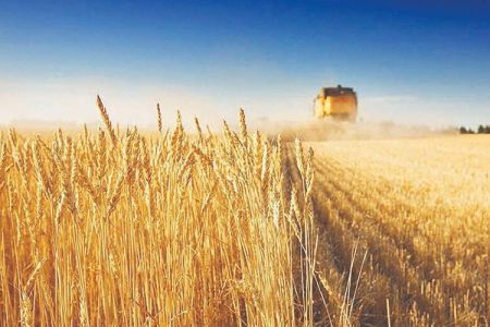 پرداخت ۱۴۷۵ میلیارد ریال تسهیلات به بخش کشاورزی