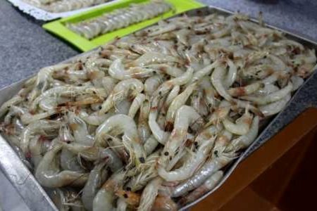 سیستان، خاستگاه فرصت‌های نوین اقتصادی