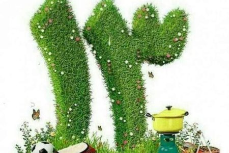 سیزدهبهدر سبز با کاهش زباله و مهار آتش
