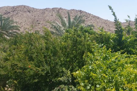 کاشکایی نگینی سبز در آغوش کوهستان