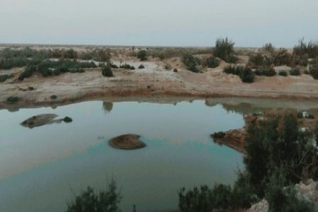 «لورگ باغ»، نگینی پنهان در دل طبیعت سیستان