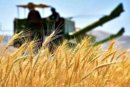 خرید تضمینی گندم، محور تقویت تولید ملی کشور