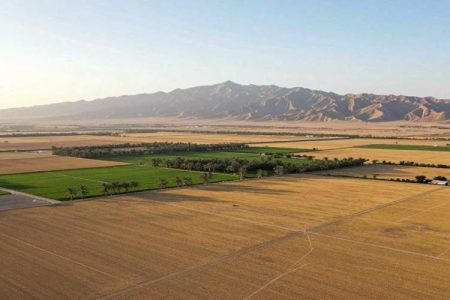 تعیین تکلیف اراضی ملی در سیستان‌وبلوچستان