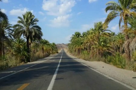 ایرانشهر، بهشتی بهاری میان نخلستان‌های سرسبز جنوب