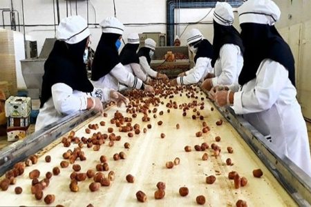 نخلستان‌های سراوان در مسیر خلق ثروت می‌درخشند